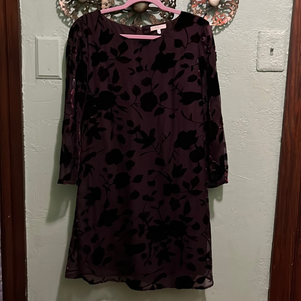 Halo Brand Dress Velvet Floral Print